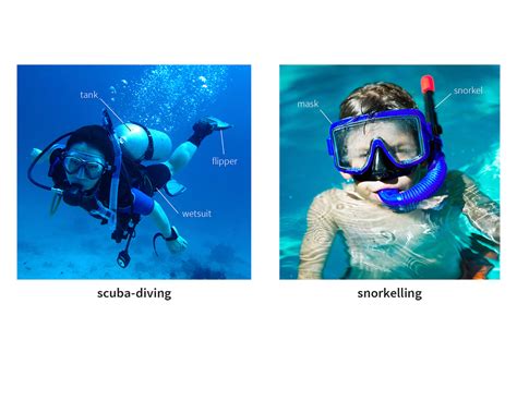 dive noun .